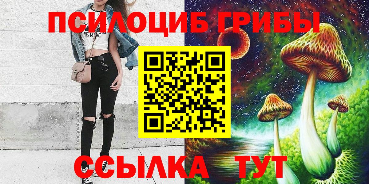 Псилоцибиновые грибы Psilocybe  Вход с VPN  Псилоцибиновые грибы мицелий  Вольск 